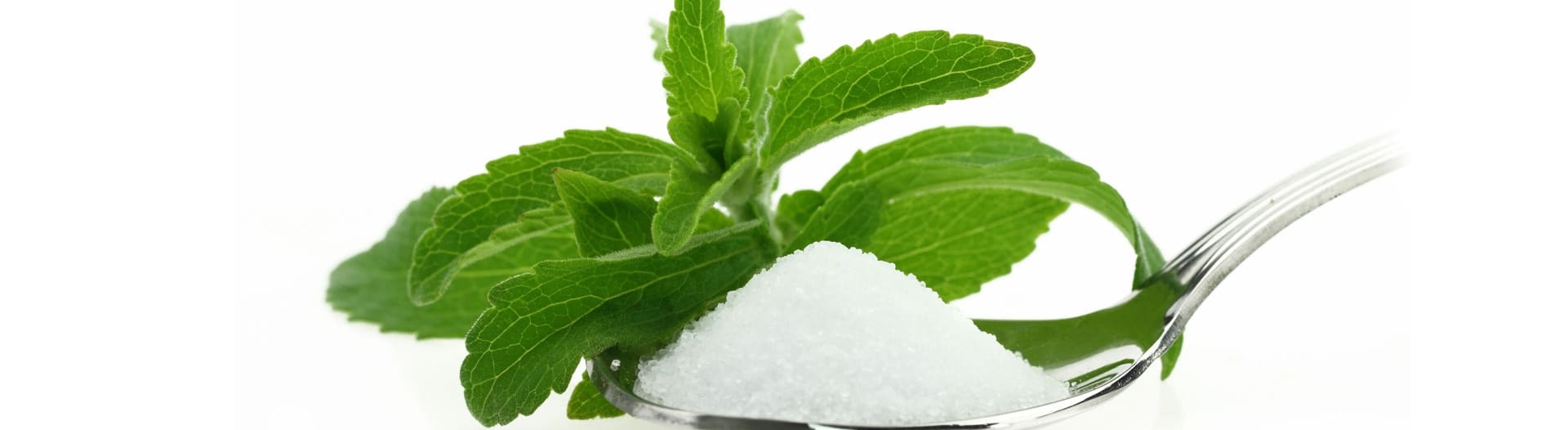 stevia