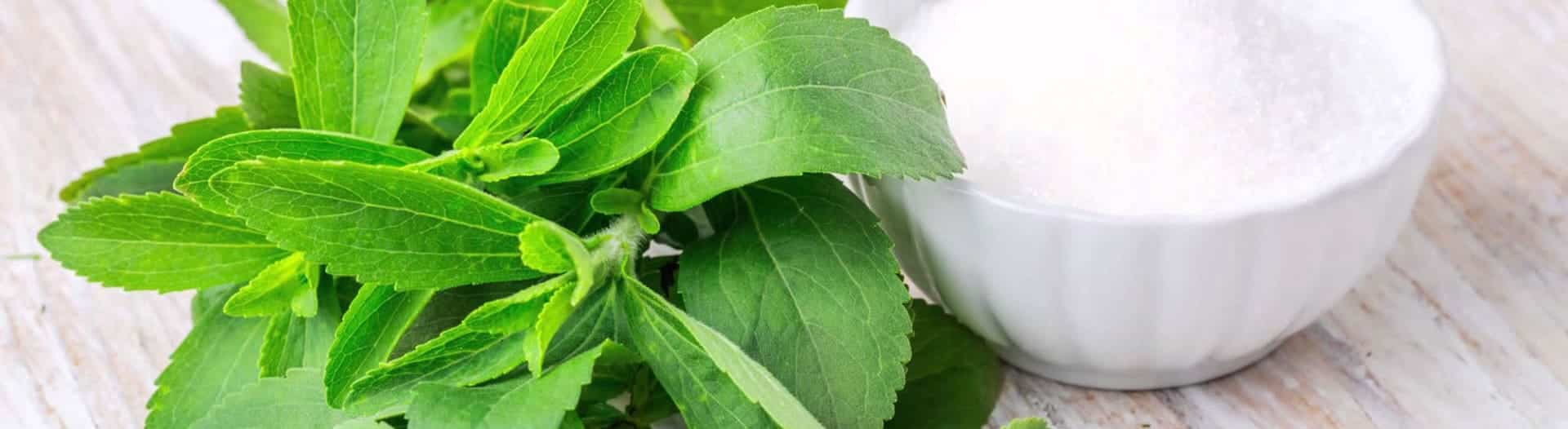 stevia